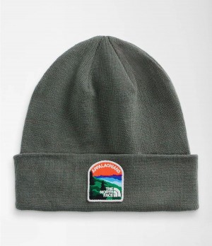 Pánské Beanies The North Face Embroidered Earthscape Zelene | QPRFMVH-04