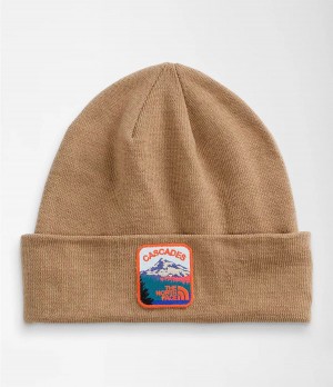 Pánské Beanies The North Face Embroidered Earthscape Hnědé | JMFYCGN-82