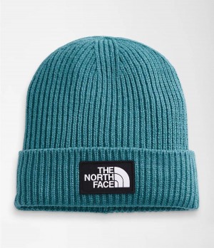 Pánské Beanies The North Face Tnf Logo Box Cuffed Blankyt | PIOUDCY-82