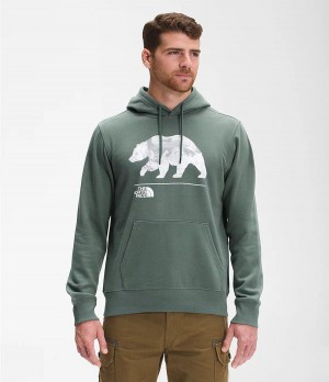 Pánské Hoodies The North Face Bearscape Pullover Zelene | YMUAWNR-09