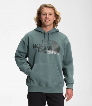 Pánské Hoodies The North Face Coordinates Pullover Zelene | DOGYQWB-67