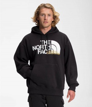 Pánské Hoodies The North Face Coordinates Pullover Černé | CWASYTH-43