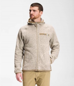 Pánské Hoodies The North Face Gordon Lyons Béžový | BWUFVKS-39