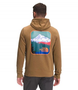 Pánské Hoodies The North Face Parks Pullover Hnědé | RBZGCIV-31