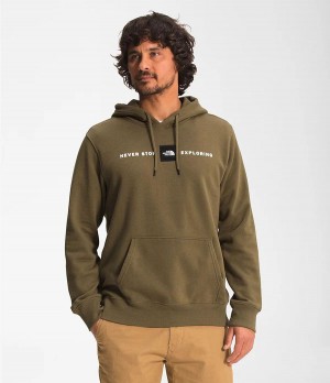 Pánské Hoodies The North Face Reds Pullover Olivy Zelené | AVMJXDW-20