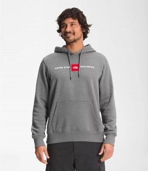 Pánské Hoodies The North Face Reds Pullover Šedé | KUQCRDE-31