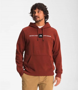 Pánské Hoodies The North Face Reds Pullover Červené | OGQCFUI-78
