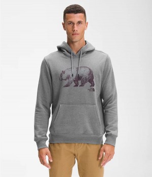 Pánské Hoodies The North Face Tnf Bear Pullover Šedé | HBUGZDK-14
