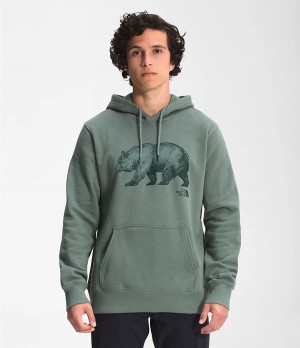 Pánské Hoodies The North Face Tnf Bear Pullover Zelene | ZIUFGNW-65