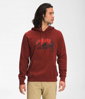 Pánské Hoodies The North Face Tnf Bear Pullover Červené | RJKDBOV-19