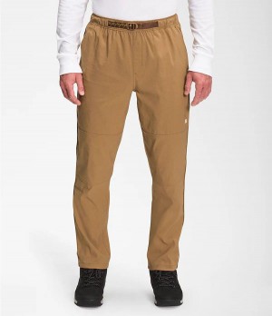Pánské Kalhoty The North Face Class V Belted Hnědé | UVDYEIN-84