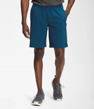 Pánské Kraťasy The North Face Wander 9" Blankyt | DBQACSX-78