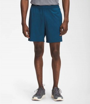 Pánské Kraťasy The North Face Wander Blankyt | QAJWBMH-29