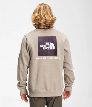 Pánské Mikiny The North Face Box Nse Crew Taupe | RVQIYGC-65