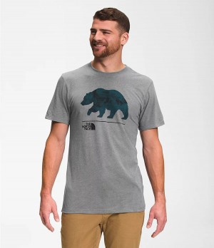 Pánské T-Shirts The North Face Bearscape Short Sleeve Šedé | UYQDGOH-86