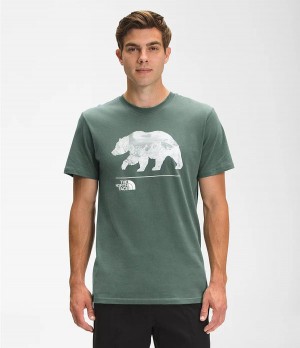 Pánské T-Shirts The North Face Bearscape Short Sleeve Zelene | UGHEFOI-06