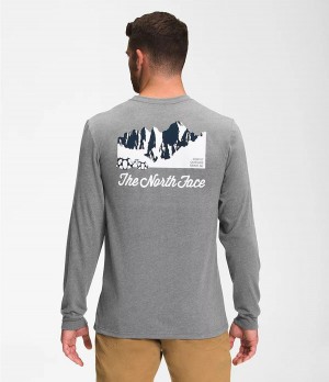 Pánské T-Shirts The North Face Mountain Scene Long Sleeve Šedé | PYAISUG-80