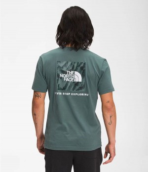 Pánské T-Shirts The North Face Short Sleeve Box Nse Zelene | FWNDUVO-59