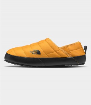 Pánské Tenisky The North Face Thermoball Traction Mule V Zlaté | DEAKSFJ-76