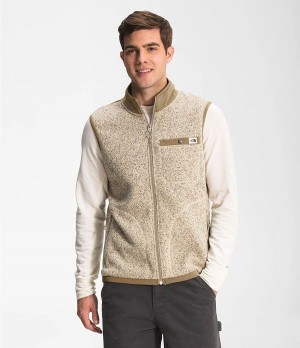 Pánské Vests The North Face Gordon Lyons Full Zip Hnědé | RXVAMEF-04