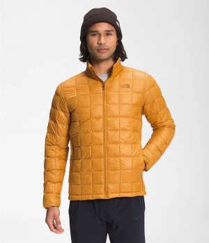 Pánské Zateplené Bundy The North Face Thermoball Eco Žluté | HNLWCEA-65
