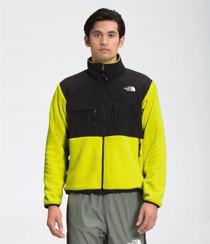 Pánské Zimní Bundy The North Face 95 Retro Denali Zelene | FEOJGXA-13
