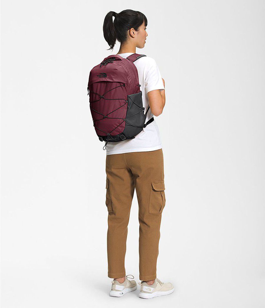 Dámské Batoh The North Face Borealis Červené | FDCXKHI-07