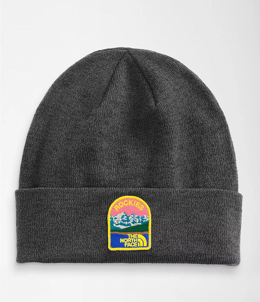 Dámské Beanies The North Face Embroidered Earthscape Černé | YBONFIQ-90