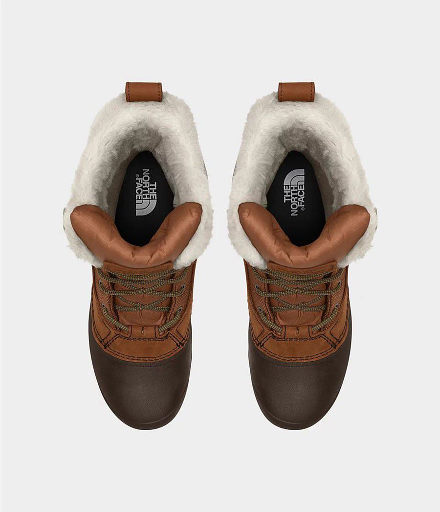 Dámské Boty The North Face Shellista Iv Mid Wp Hnědé | WCBQAOI-69