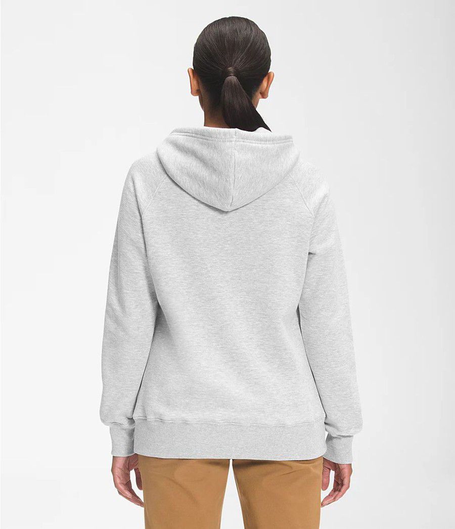 Dámské Hoodies The North Face Bearscape 2.0 Pullover Světle Šedé | PGIOJYF-45