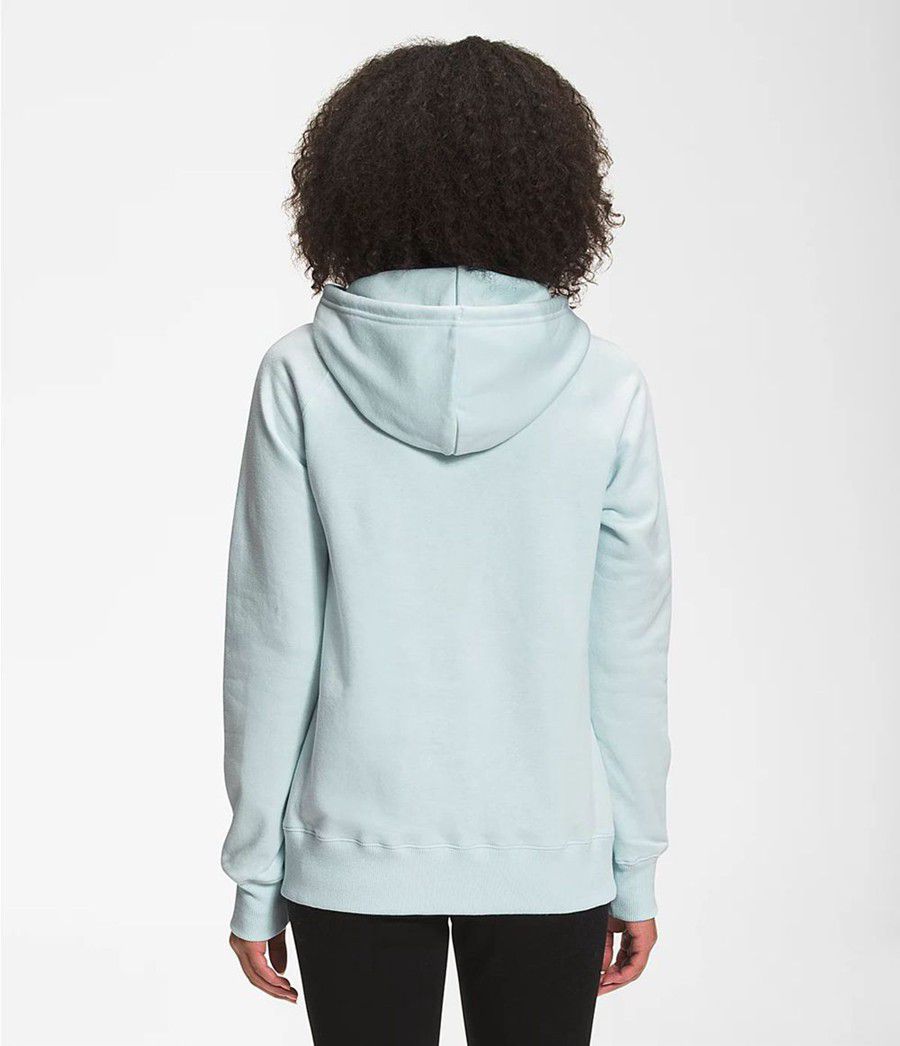 Dámské Hoodies The North Face Bearscape 2.0 Pullover Blankyt | XIRBGFH-68