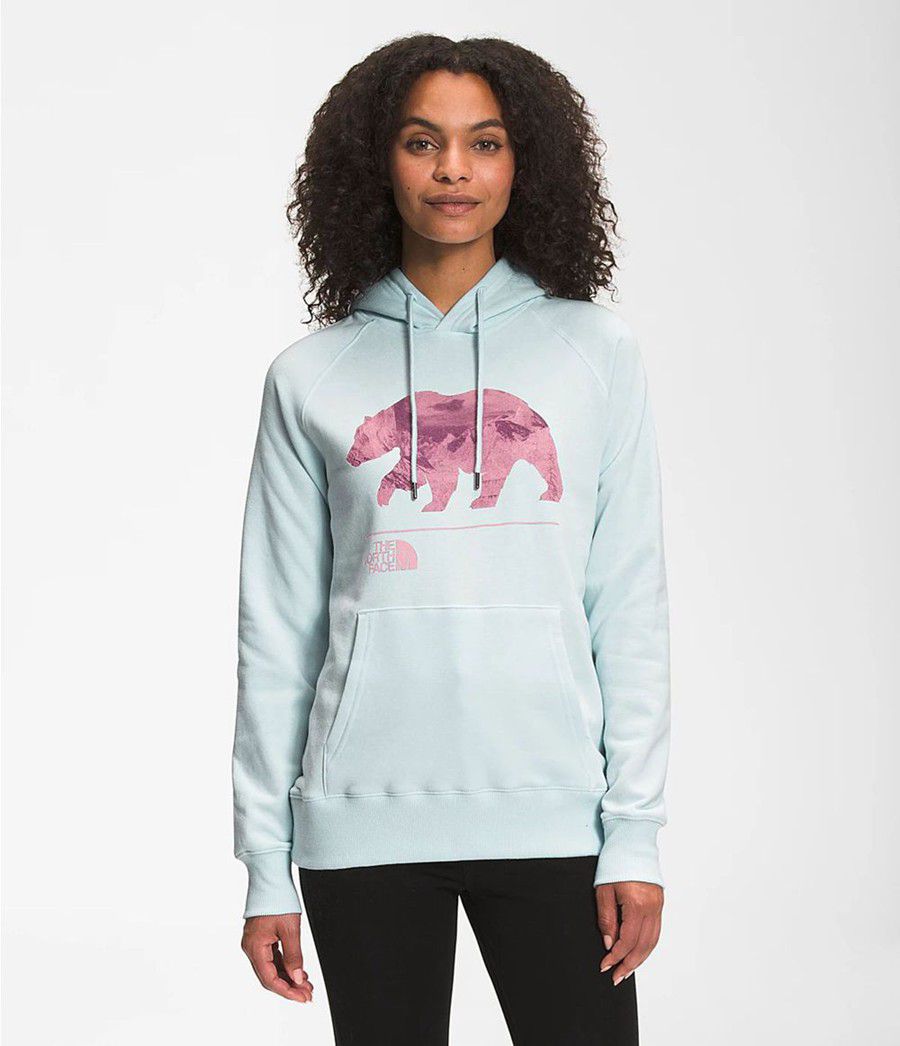 Dámské Hoodies The North Face Bearscape 2.0 Pullover Blankyt | XIRBGFH-68