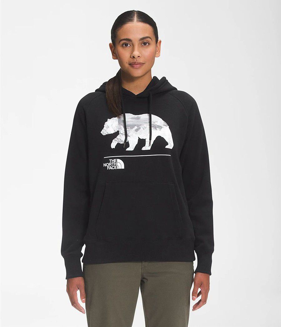 Dámské Hoodies The North Face Bearscape 2.0 Pullover Černé | HODGVIE-02