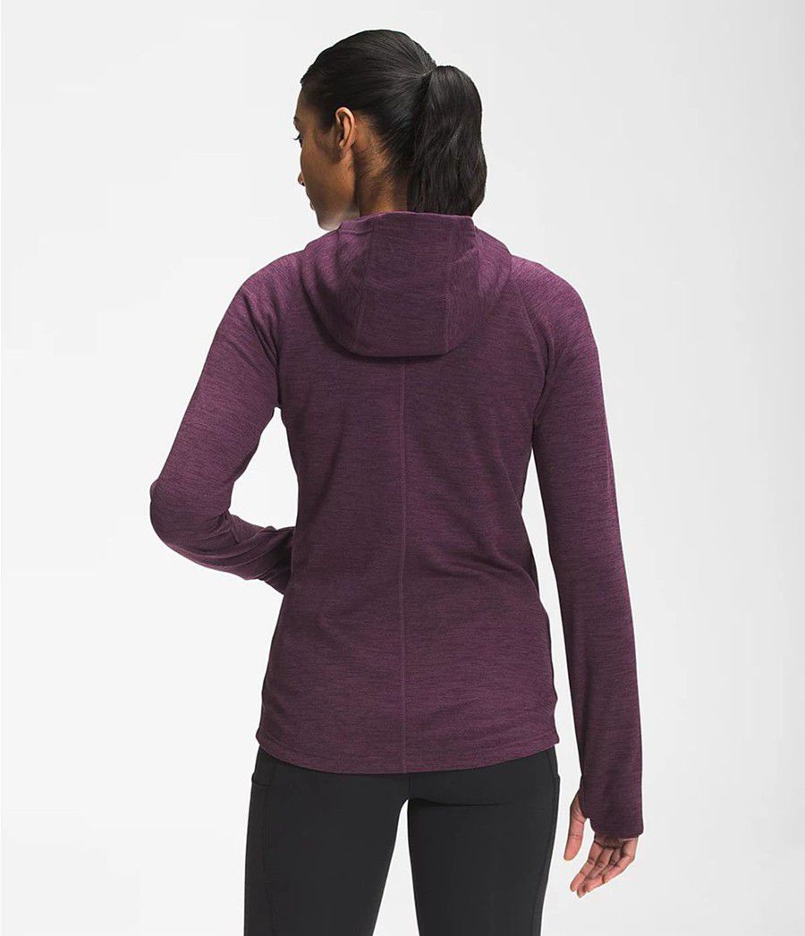 Dámské Hoodies The North Face Canyonlands Fialové | TRMJLFH-23