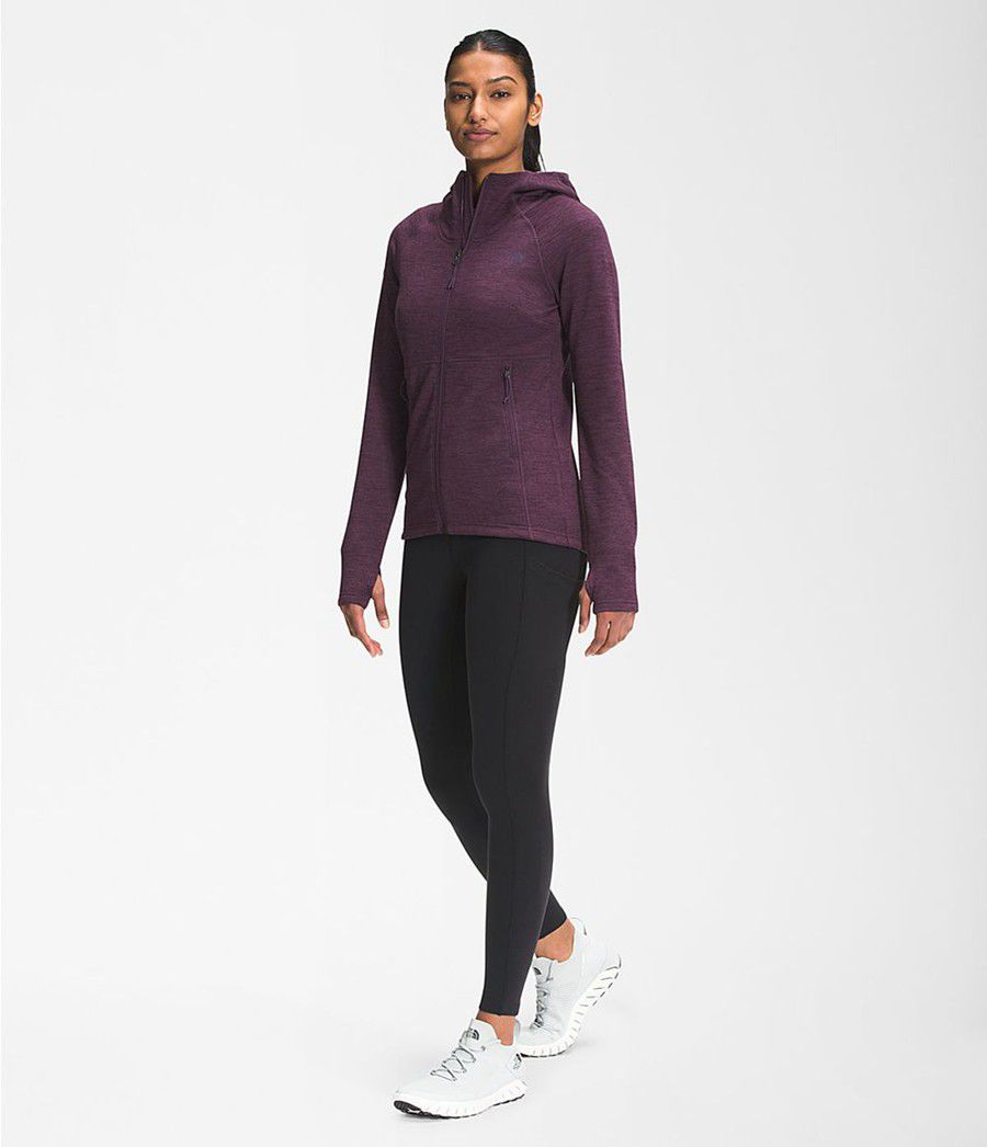 Dámské Hoodies The North Face Canyonlands Fialové | TRMJLFH-23