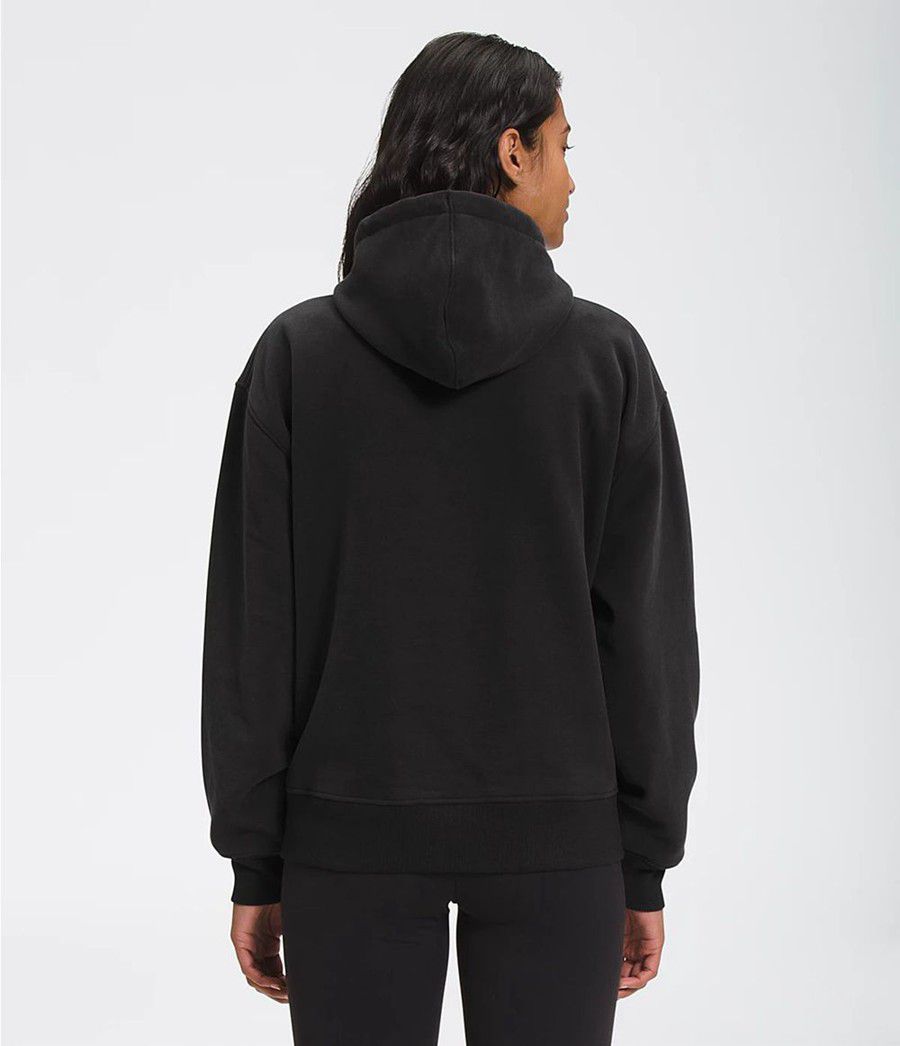 Dámské Hoodies The North Face City Standard Černé | XEAOTBH-13