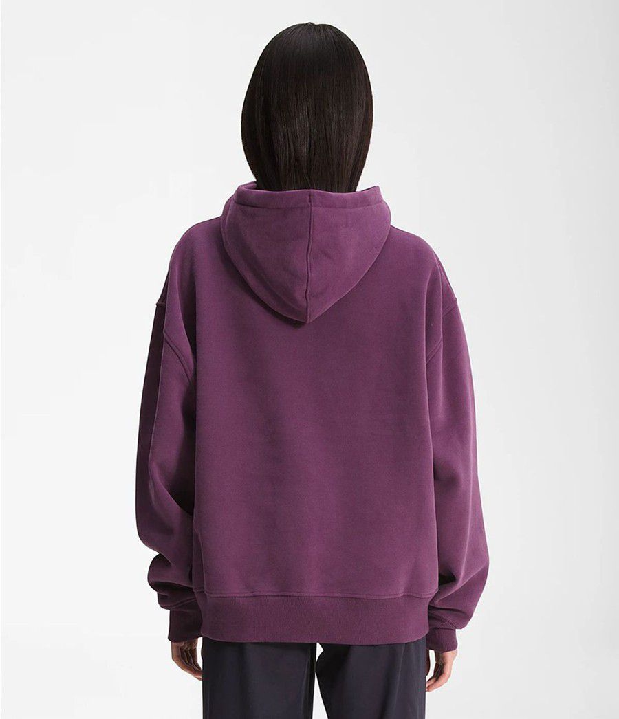 Dámské Hoodies The North Face City Standard Fialové | YLGMFTP-12