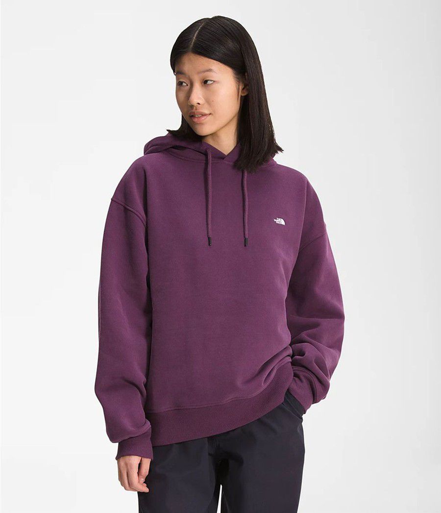Dámské Hoodies The North Face City Standard Fialové | YLGMFTP-12