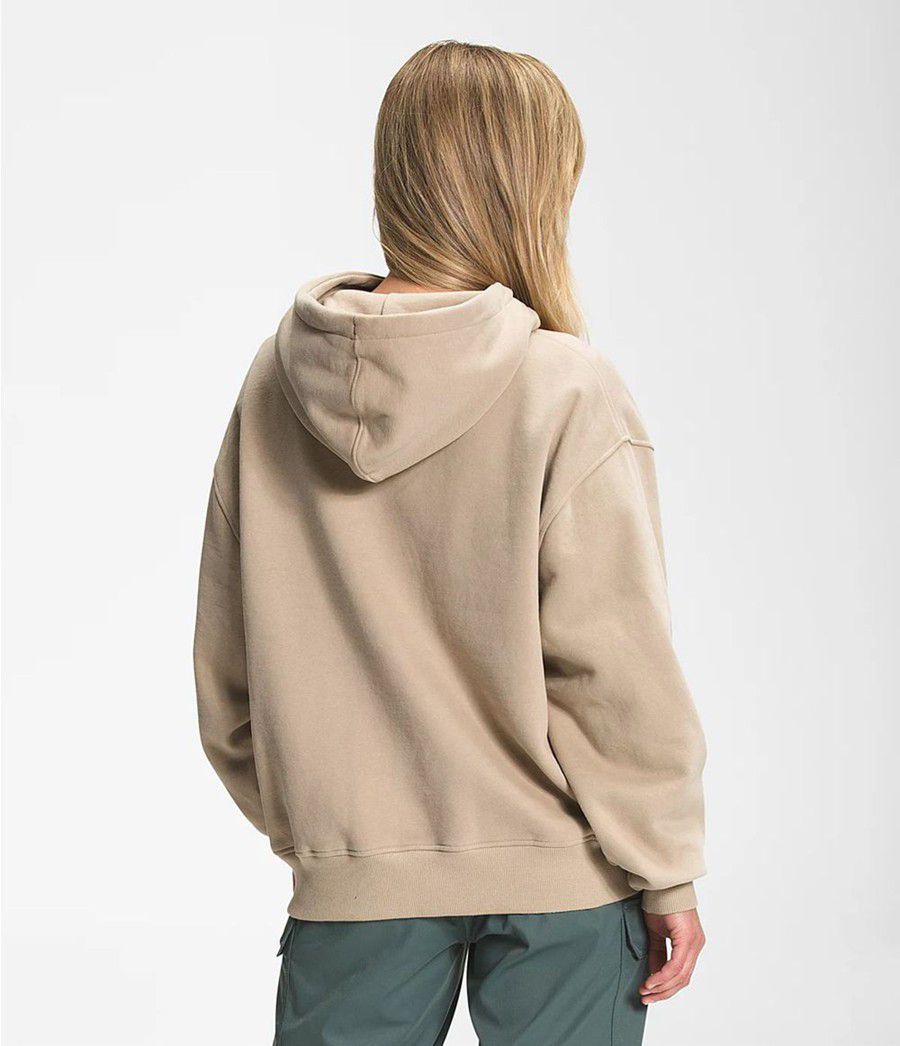 Dámské Hoodies The North Face City Standard Béžový | DIAOTKW-76