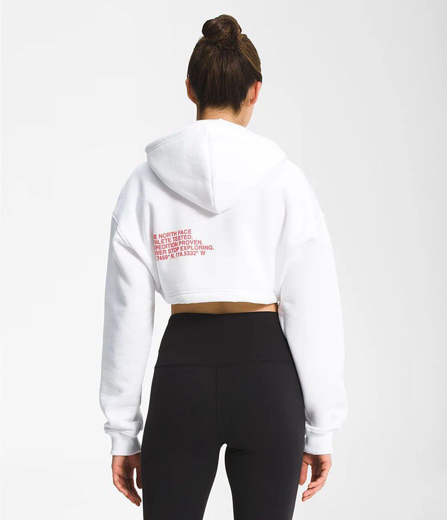 Dámské Hoodies The North Face Coordinates Crop Drop Pullover Bílé | MILGPFV-49
