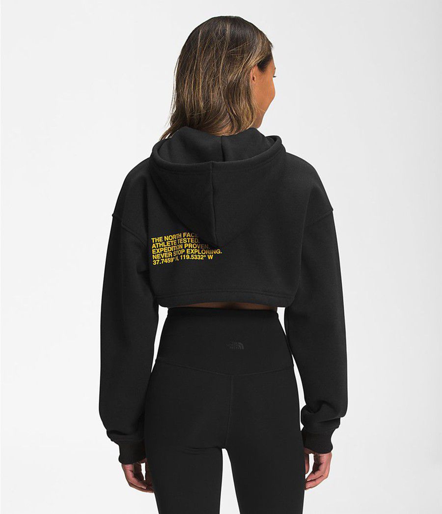 Dámské Hoodies The North Face Coordinates Crop Drop Pullover Černé | EASWJFZ-27