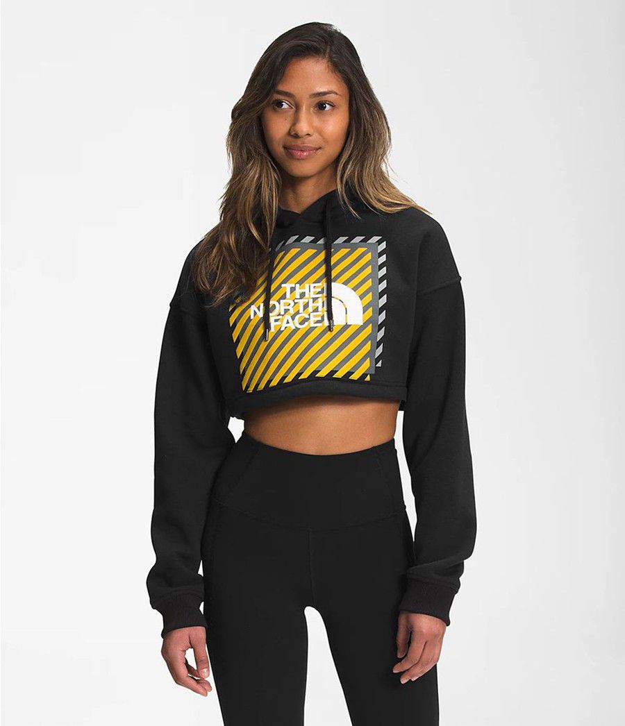 Dámské Hoodies The North Face Coordinates Crop Drop Pullover Černé | EASWJFZ-27