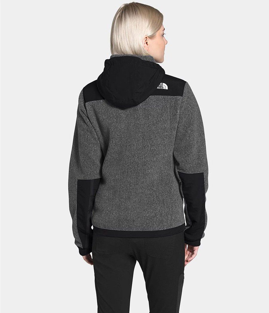 Dámské Hoodies The North Face Denali 2 Šedé | VKZBCDR-83