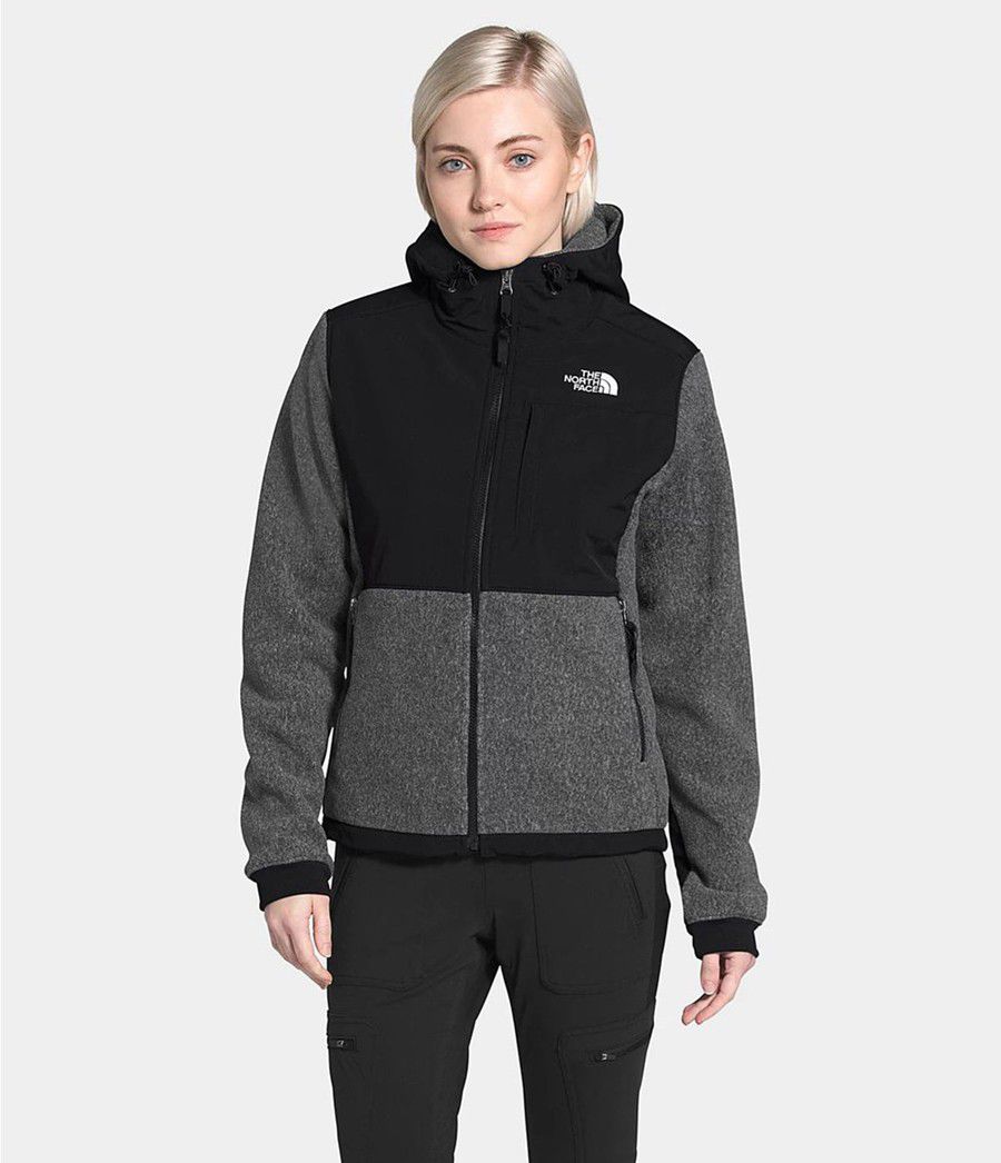 Dámské Hoodies The North Face Denali 2 Šedé | VKZBCDR-83
