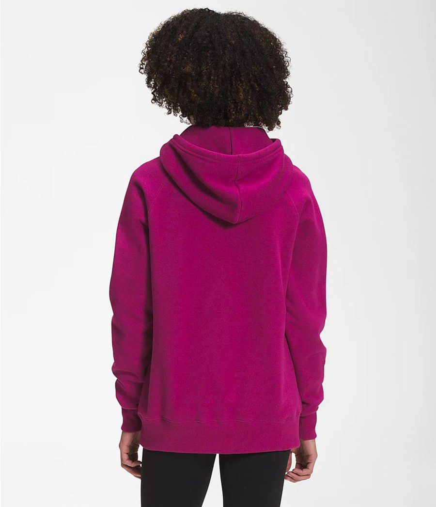 Dámské Hoodies The North Face Half Dome Pullover Růžové | XKZMNUV-69