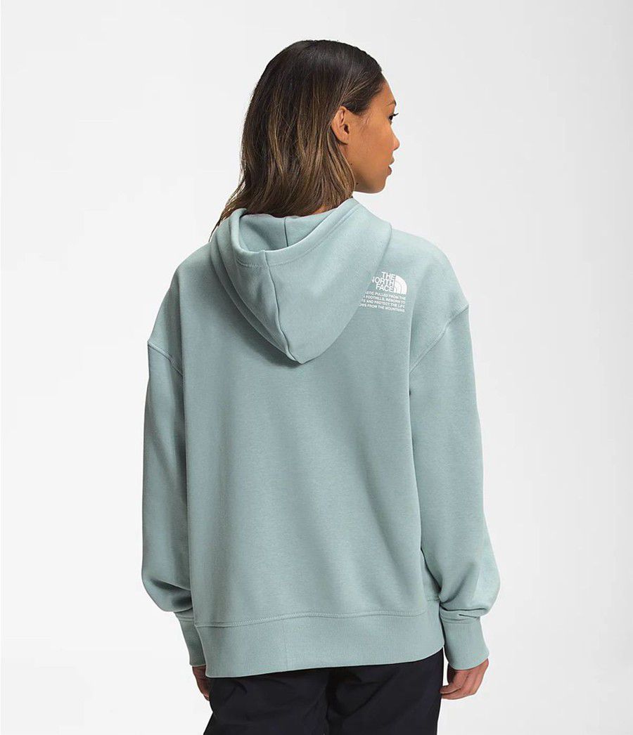 Dámské Hoodies The North Face Himalayan Bottle Source Pullover Blankyt | YPJCGRM-03