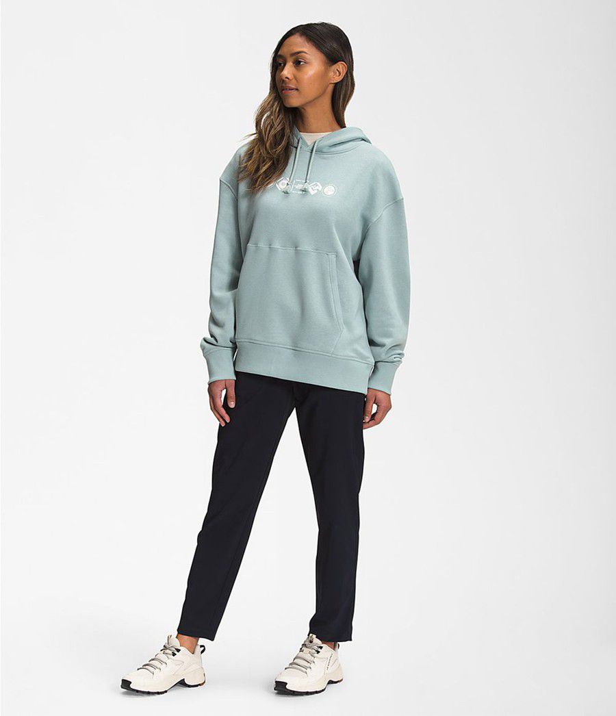 Dámské Hoodies The North Face Himalayan Bottle Source Pullover Blankyt | YPJCGRM-03