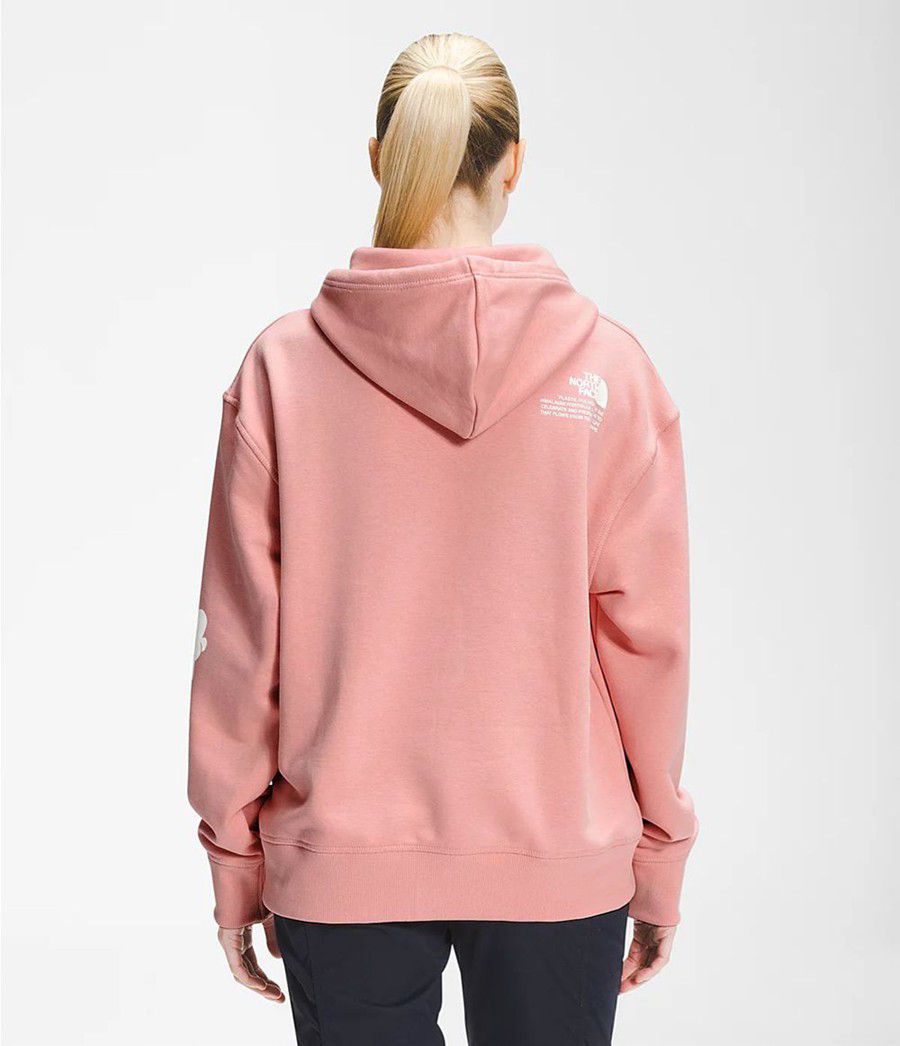 Dámské Hoodies The North Face Himalayan Bottle Source Pullover Růžové | QCLESKB-06