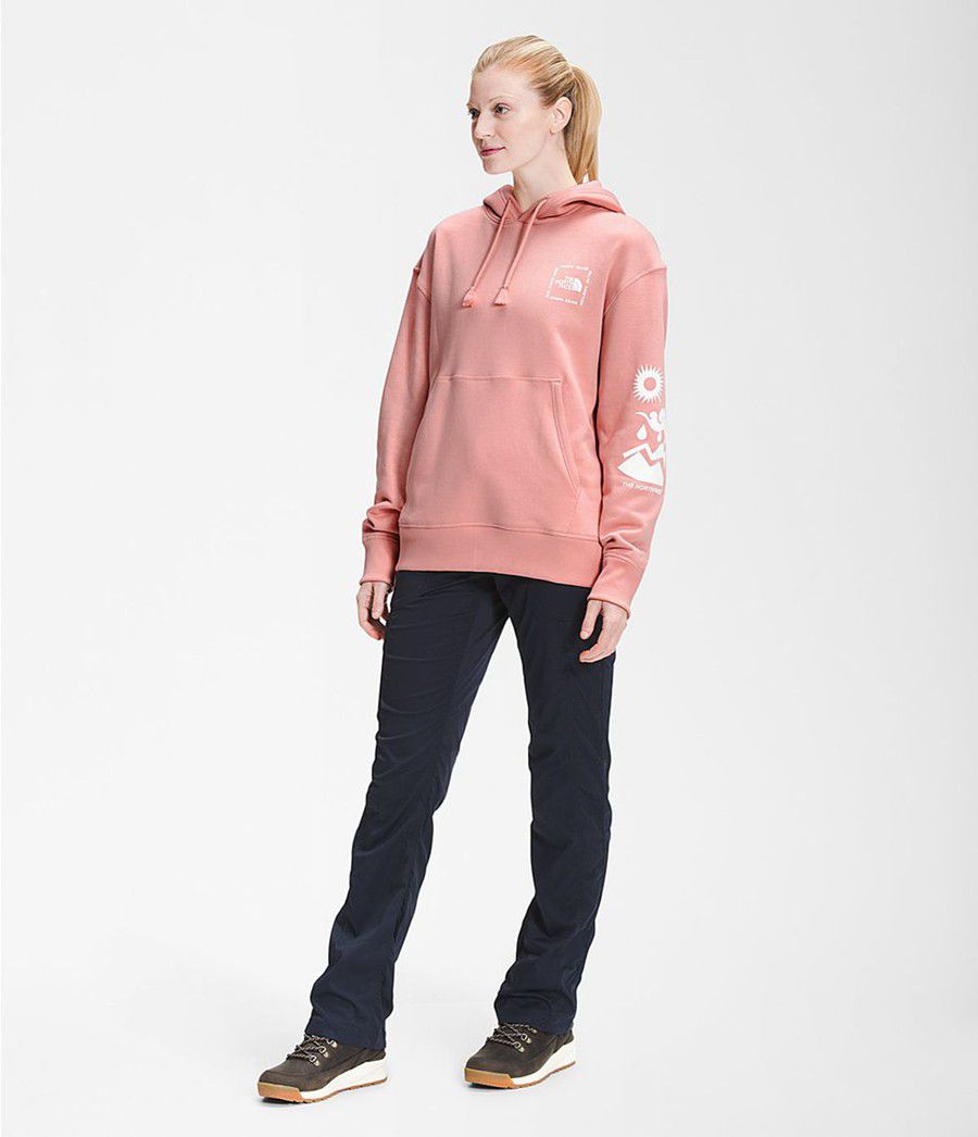 Dámské Hoodies The North Face Himalayan Bottle Source Pullover Růžové | QCLESKB-06