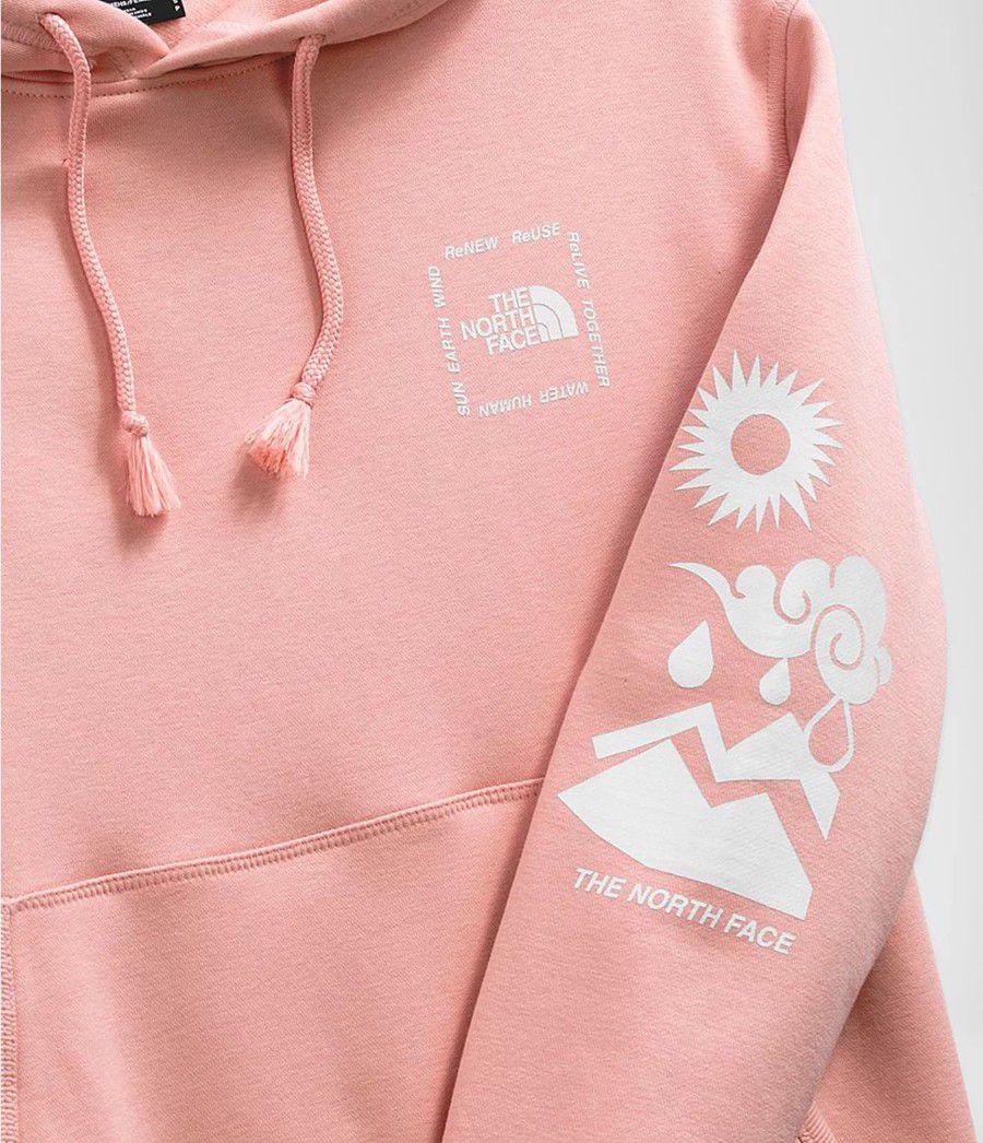 Dámské Hoodies The North Face Himalayan Bottle Source Pullover Růžové | QCLESKB-06